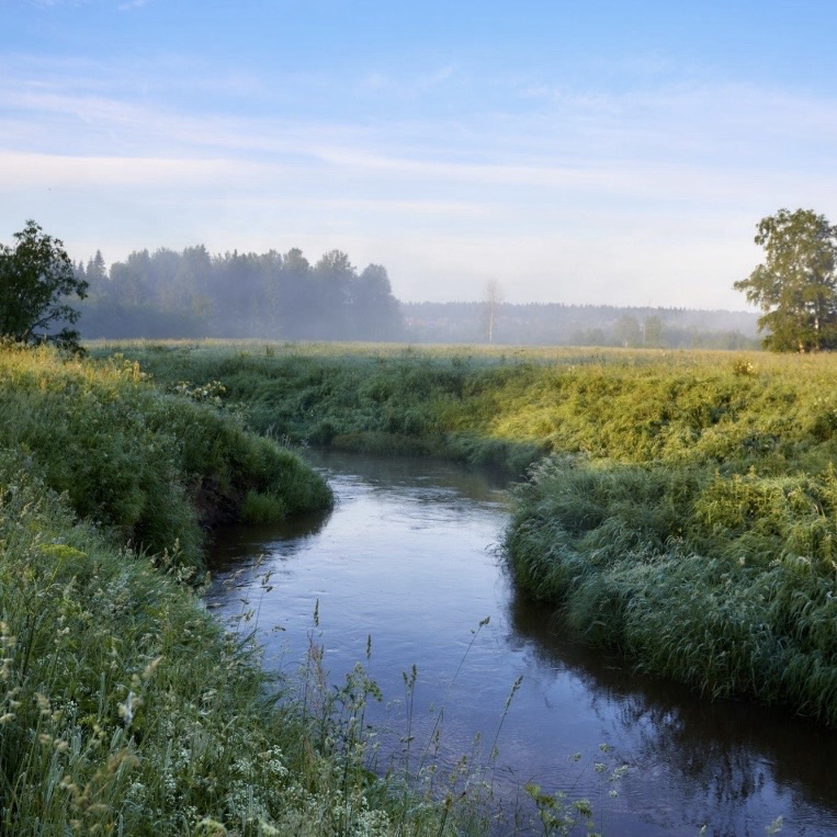 The Freedom of a&nbsp;River